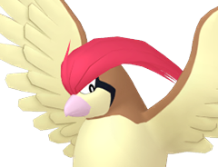 Imagem da cabeça do pidgeotto