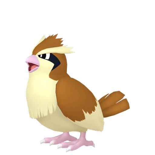 imagem do Pidgey