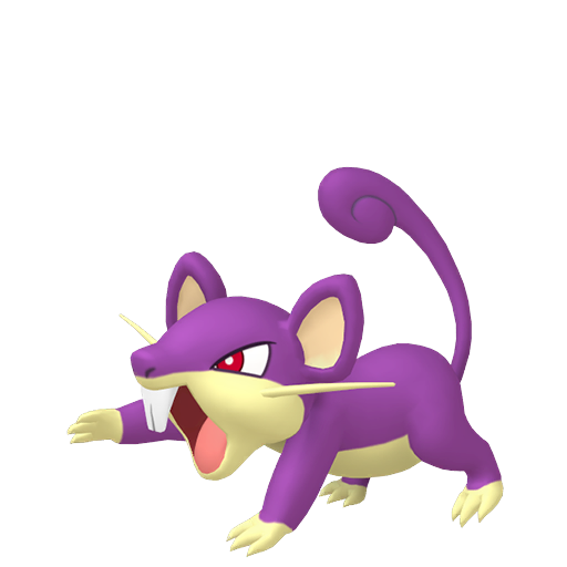 imagem do Rattata